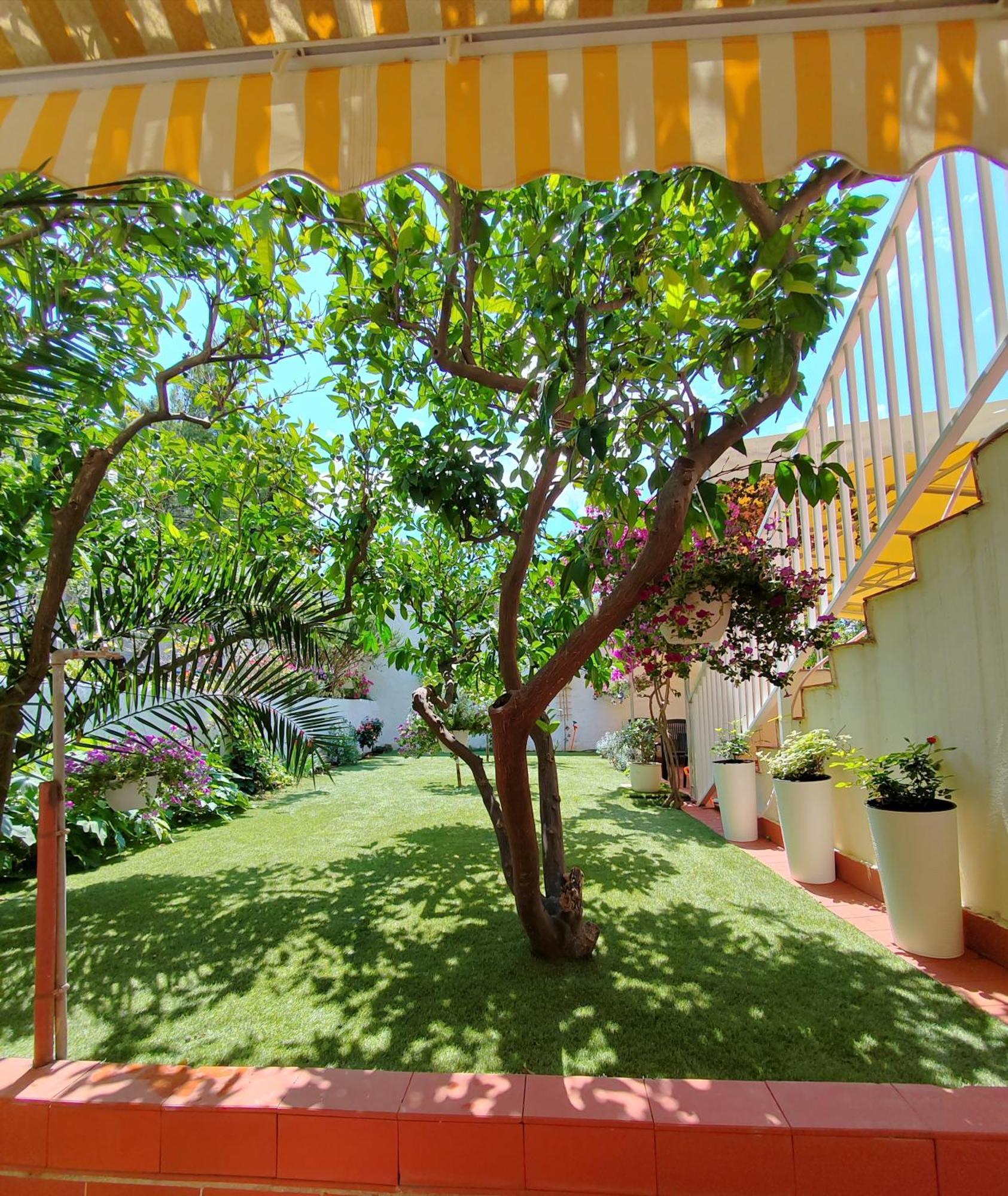 Apartments Gareta Gradac  Kültér fotó